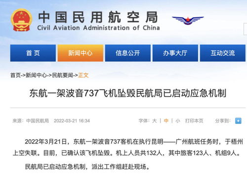 東航一波音737飛機失事 專家 與此前停飛的737max無關