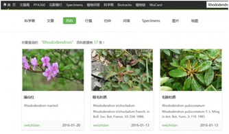 標本館新版網站正式上線